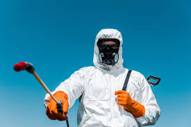 Best Termite Inspection and Treatment  in Kadelphia, AR